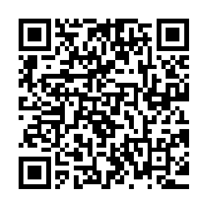 就是因为知道了她昨天中午不避不忌跟瀚海娱乐的代表一起会面二维码生成