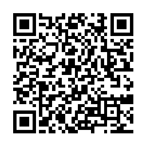 就是大殿之内的上元大陆修士也都奇怪地望着大长老二维码生成
