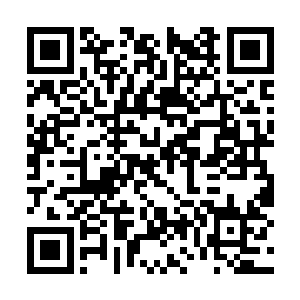 就是天之境移民各方势力中和腐气相冲区域的仙家二维码生成