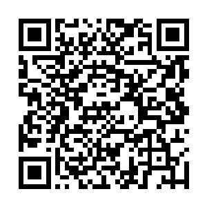 就是将咱们在地球的时候做的张维娜d打印房子搬出来二维码生成