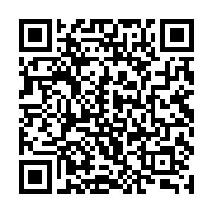 就是希望借助林放和叶琳的手去削弱宇文家族的实力二维码生成