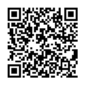 就是心志坚定偏执如孟暖都有一种不切实的感觉二维码生成