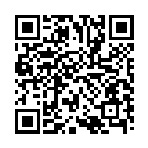 就是拿出神圣金兰花帝国国库一半的金钱二维码生成