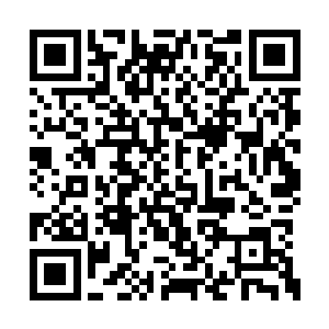 就是挥一挥衣袖……然后东方族长就啊啊啊的叫二维码生成