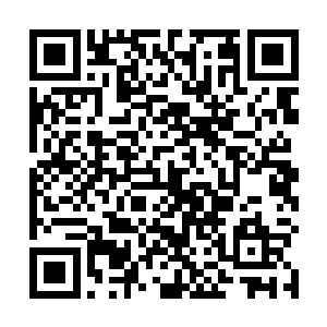 就是来观礼的各个豪门与宗派派代表上来露脸的时候了二维码生成