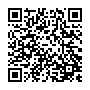 就是这样的一个弟子竟然释放出堪比人尊初期巅峰的威能二维码生成