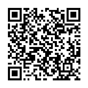 就注意到四周有无数道羡慕妒忌恨的目光在看自己二维码生成