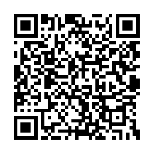 就犹如一只没有意识到前方就是陷阱的猎物一般二维码生成