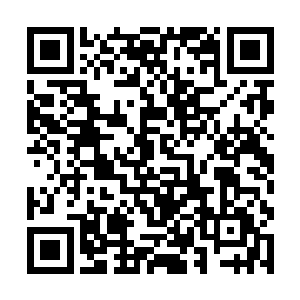 就猛然间听得智能电脑再一次发出了刺耳的警报声来二维码生成