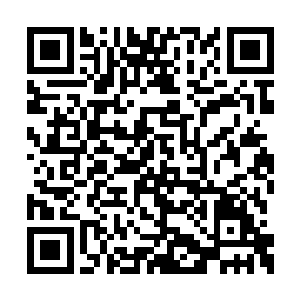 就看到她捉在手间的一条还在蠕动着的青色小蛇二维码生成