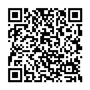 就看到李承铭在一群人的簇拥下站在他们的身后二维码生成