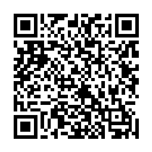 就看见掌门云鹤真人正收起一张氤氲之气缭绕的混沌色符篆二维码生成