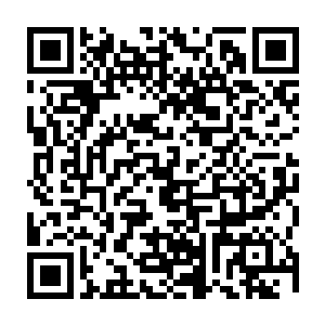 就知道唯一一下子就能认出玉盒之中装着的是什么东西的只有医圣费正涛二维码生成