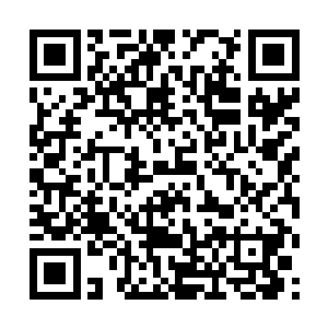 就算他一开始看似信心满满的利用各种技巧进攻而来二维码生成