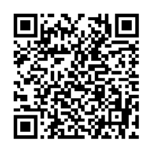 就算他从来就没在太后面前说过常嬷嬷的任何坏话二维码生成