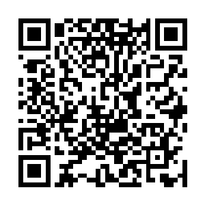 就算他们手里有着东方浩然这一个筹码也不应该是这副表现二维码生成