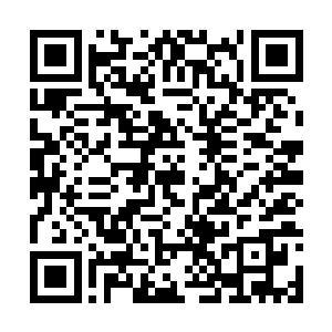 就算你把我关在一个地方3天不和外界联系我都会发疯的二维码生成