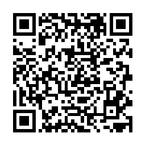 就算后来勉强刻布上了一小部分残缺的白虎诛魔剑阵二维码生成