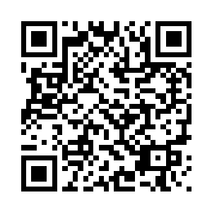 就算我知道你很想回到他们的身边二维码生成