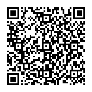 就算整个实验室所有人加起来也不敢保证能在短短五天之内完成信息量如此庞大的数据分析二维码生成