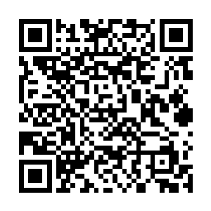 就算是一只蚊子也别想在他们不知情的情况下潜入营地二维码生成