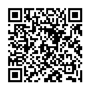 就算是他的元力储备也早就达到了突破圣级九层的程度二维码生成