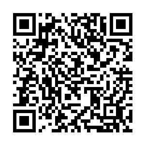 就算是以前一穷二白的时候贝海也不能老演化鱼玩吧二维码生成