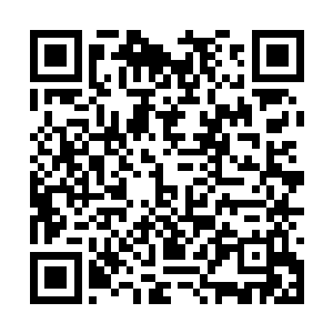 就算是我们自己的储物装备都装满估计也装不完也二维码生成