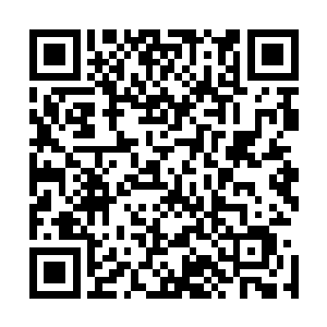 就算是最后鉴别出来是明朝的一些稍微出点名的画家的作品二维码生成