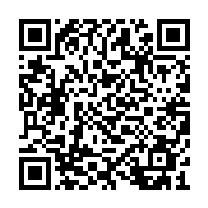就算是现在自己这边集合所有人把丁羽给干掉了二维码生成