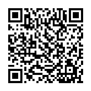 就算能把夏侯拓及夏侯家族明面上的人给杀光了二维码生成