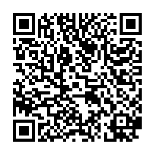 就算苏凡等人的速度在快也不可能在短时间之类将所有的人都给打晕啊二维码生成