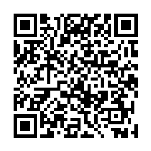 就算马文把此地的构装体原型机全部打包带回家都没有用二维码生成