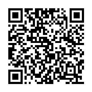 就能够召唤出五头相当于圣域一重天实力的五魔二维码生成