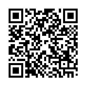 就被小光那仙露明珠般可爱的样子吸引住了二维码生成