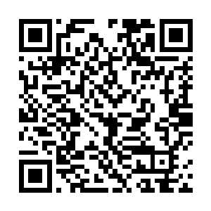 就见李全福落地后像个球一样在地上骨碌骨碌滚了两圈二维码生成