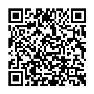 就见那一向在沈家最有话语权的沈万良快步上前二维码生成