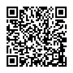 就让局面让人无语又觉杯具的所有人都知道那是什么情况二维码生成