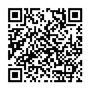 就让整个天地的空气都充斥了一股淡淡的七彩之色二维码生成