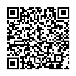 就证明杨洛在这些企业和集团老总心里有多大的分量二维码生成
