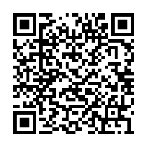 就说在下无论是资历还是修为都不足以担当此任二维码生成