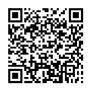 就这么……这么被你家小凡给……我……我不想活了二维码生成