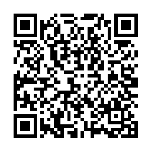 就这么向雷欢喜去低头认错是他朱晋岩绝对不会甘心的二维码生成