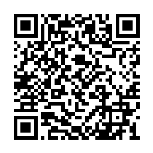 就这么平静到寂静的在桀的眼前一点点快速消失二维码生成