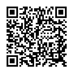 就这茅屋还是我人族当初三位仙王强者一起建造出来的二维码生成