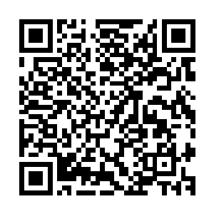 就连一旁警戒的飞翼银龙也发出几声焦急关心的鸣叫奔上前来二维码生成
