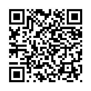 就连一点点的委屈都不想带给她们二维码生成