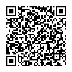 就连从钨合金矿深处传出来的那股可怕的能量波动也消失的无影无踪二维码生成