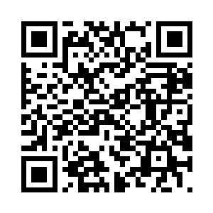 就连以前那些上赶着巴结大鱼的小混混二维码生成