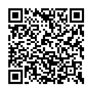 就连分管党群的副书记宋大成也一样是别想插手二维码生成